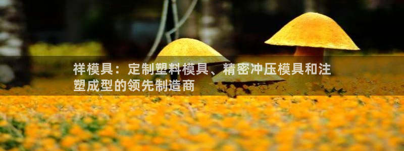 太阳集团电子游戏如何赚钱：祥模具：定制塑料模具、精密冲压模具和注
塑成型的领先制造商