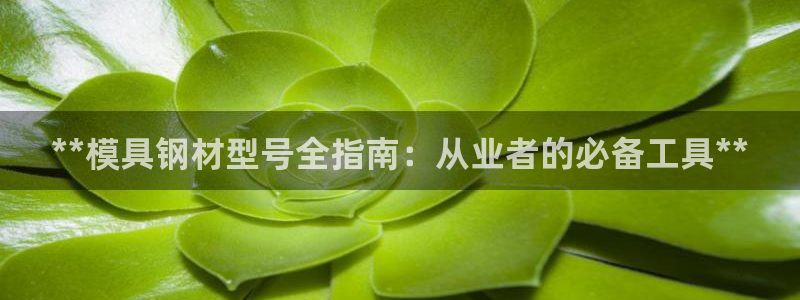 太阳集团城网址古天乐：**模具钢材型号全指南：从业者的必备工具**
