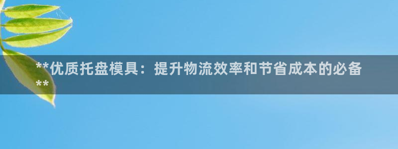 太阳集团tcy8722电子游戏：**优质托盘模具：提升物流效率和节省成本的必备
**