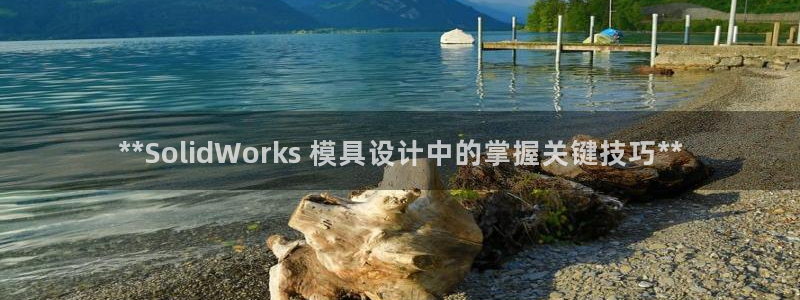 太阳成集团tyc1050：**SolidWorks 模具设计中的掌握关键技巧**