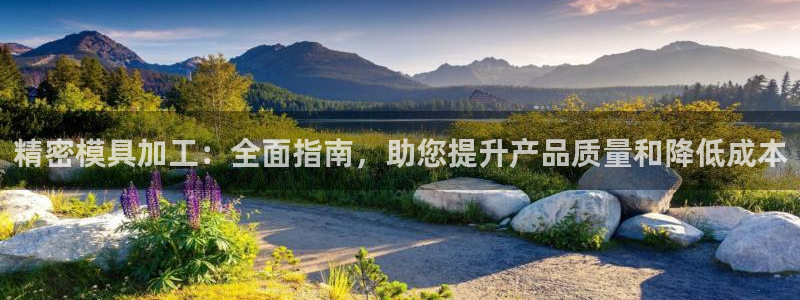 太阳集团app十佳平台有哪些：精密模具加工：全面指南，助您提升产品质量和降低成本