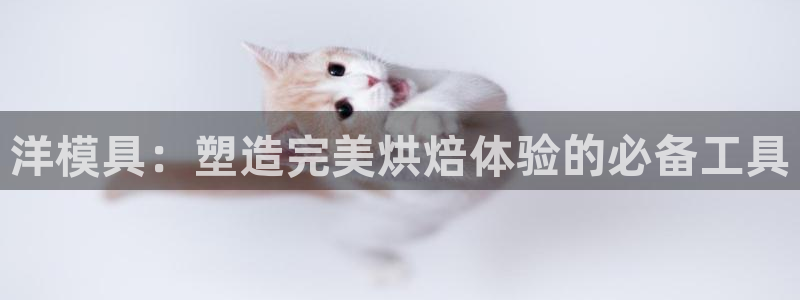 太阳成集团不能提现：洋模具：塑造完美烘焙体验的必备工具