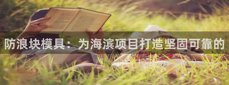 太阳集团娱：防浪块模具：为海滨项目打造坚固可靠的