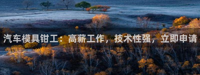 澳门太阳集团洗米华：汽车模具钳工：高薪工作，技术性强，立即申请