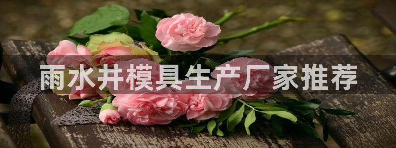 太阳集团188网站：雨水井模具生产厂家推荐