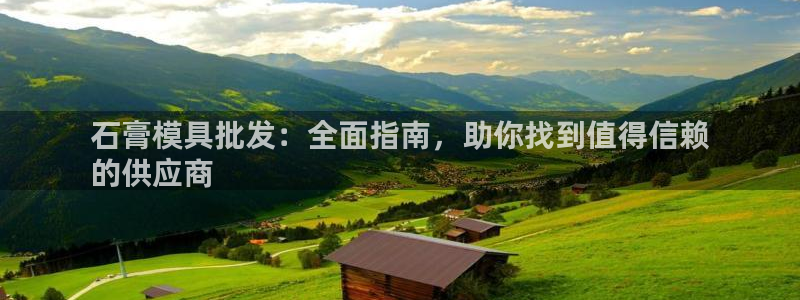 太阳集团下载链接app：石膏模具批发：全面指南，助你找到值得信赖
的供应商