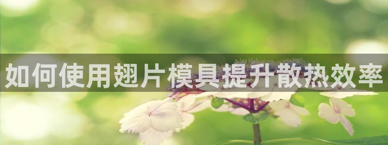 太阳集团游戏城旧版：如何使用翅片模具提升散热效率