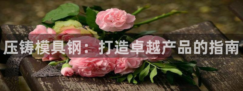 太阳gg会员登录：压铸模具钢：打造卓越产品的指南