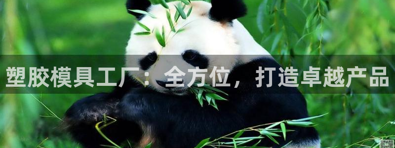 太阳集团城娱8722：塑胶模具工厂：全方位，打造卓越产品