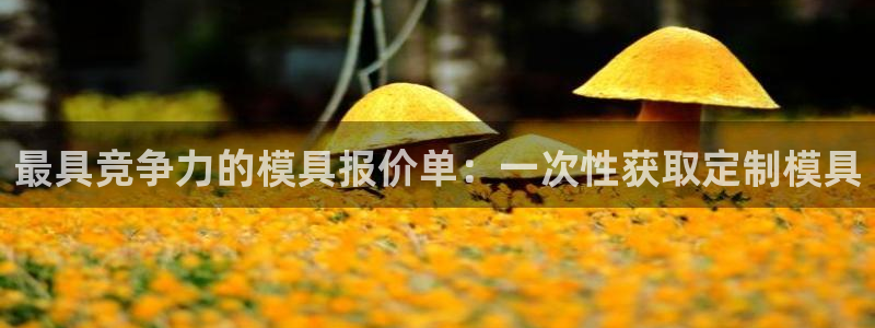 15vip太阳集团登录：最具竞争力的模具报价单：一次性获取定制模具
