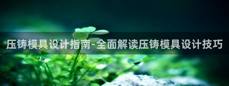 江苏太阳集团冷青松：压铸模具设计指南-全面解读压铸模具设计技巧