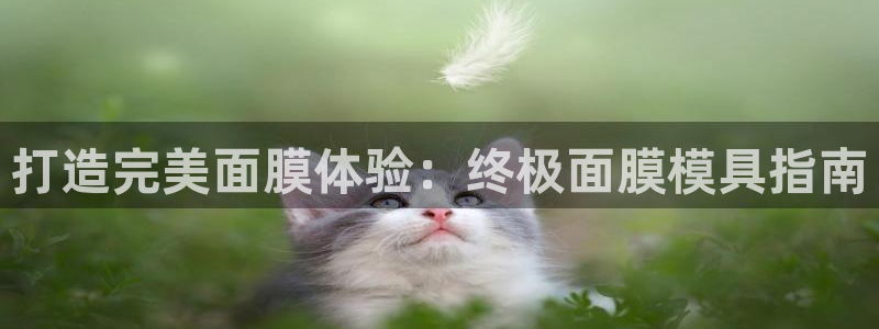 太阳成集团游戏古天乐：打造完美面膜体验：终极面膜模具指南