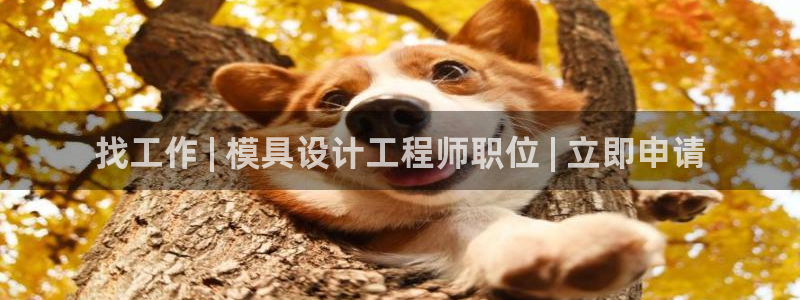 太阳集团影视：找工作 | 模具设计工程师职位 | 立即申请