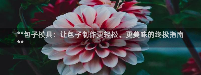 太阳集团城娱6543官网：**包子模具：让包子制作更轻松、更美味的终极指南
**