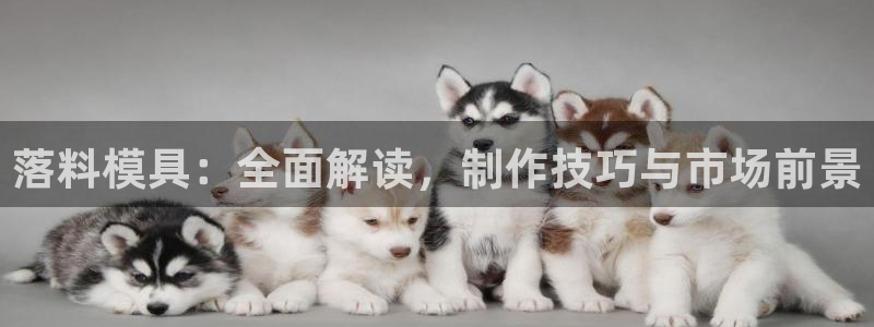 澳门太阳集团洗米华：落料模具：全面解读，制作技巧与市场前景