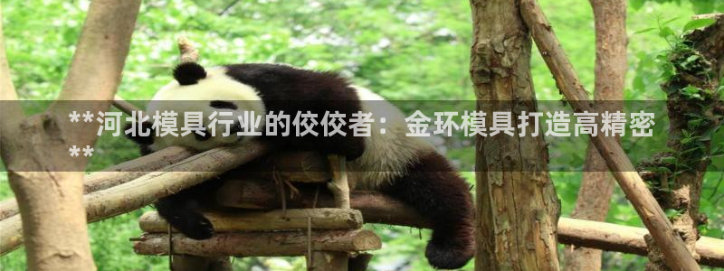 太阳gg平台地址：**河北模具行业的佼佼者：金环模具打造高精密
**
