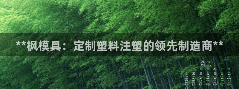 太阳集团城2017：**枫模具：定制塑料注塑的领先制造商**