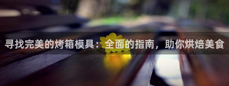 太阳集团娱乐官方网站入口：寻找完美的烤箱模具：全面的指南，助你烘焙美食