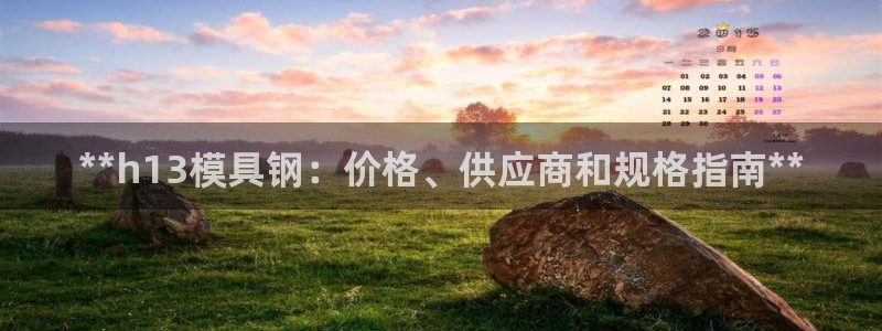 太阳成集团tyc234cc主页网站：**h13模具钢：价格、供应商和规格指南**