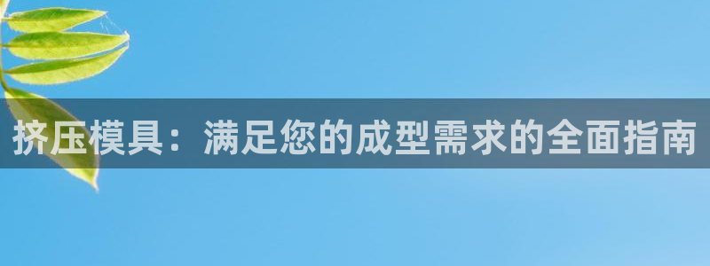 太阳gg娱乐胺44262：挤压模具：满足您的成型需求的全面指南