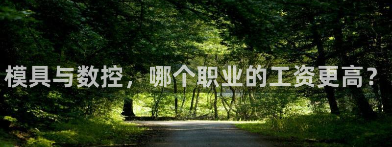 太阳集团娱乐官方网站入口：模具与数控，哪个职业的工资更高？