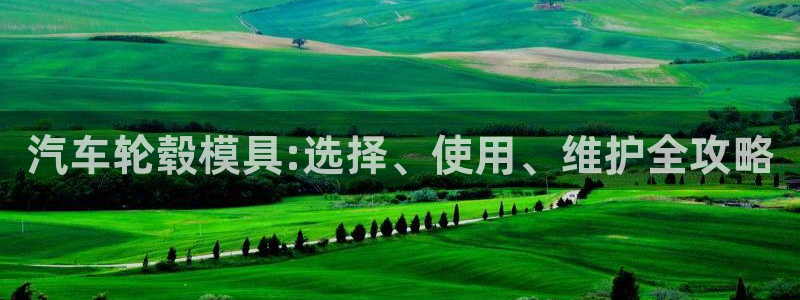 太阳app免费下载官方网站：汽车轮毂模具:选择、使用、维护全攻略