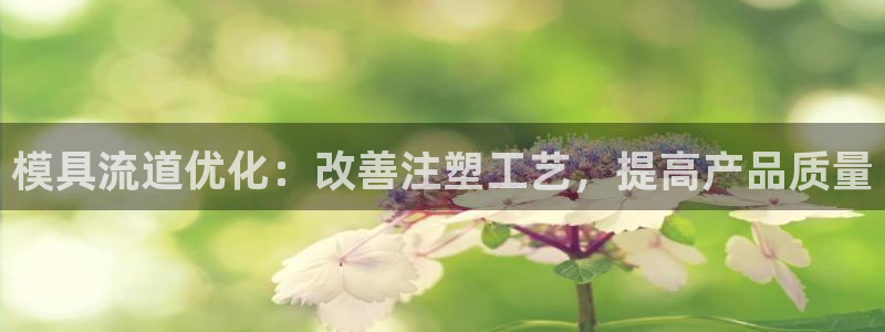 太阳集团公司董事长：模具流道优化：改善注塑工艺，提高产品质量