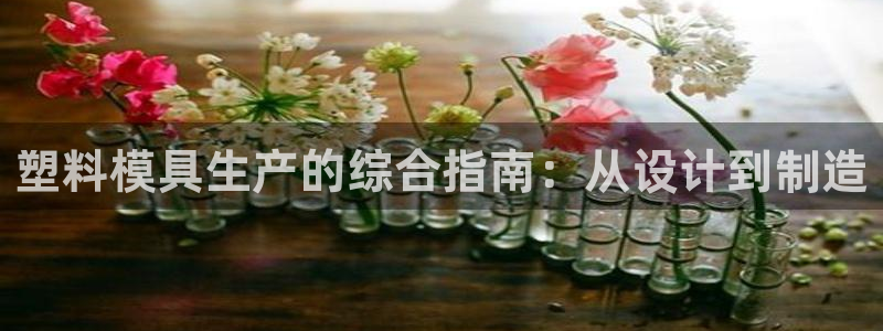 太阳gg登陆测试：塑料模具生产的综合指南：从设计到制造