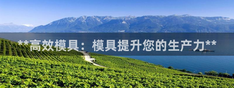 太阳c集团：**高效模具：模具提升您的生产力**