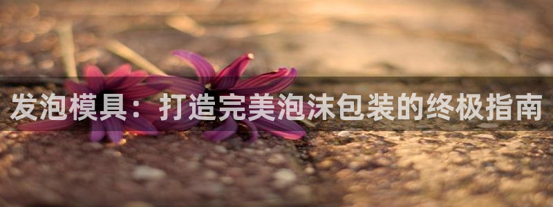 太阳游戏汉化：发泡模具：打造完美泡沫包装的终极指南