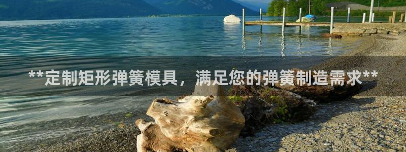 太阳成集团tyc33455cc官网：**定制矩形弹簧模具，满足您的弹簧制造需求**