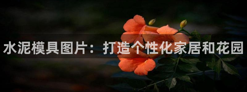 太阳集团城2017网站：水泥模具图片：打造个性化家居和花园