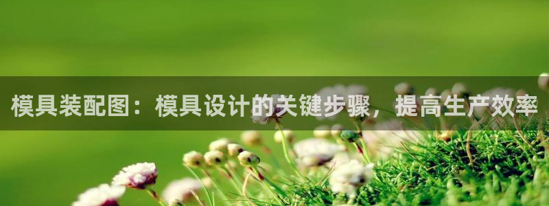 太阳gg登录地址：模具装配图：模具设计的关键步骤，提高生产效率