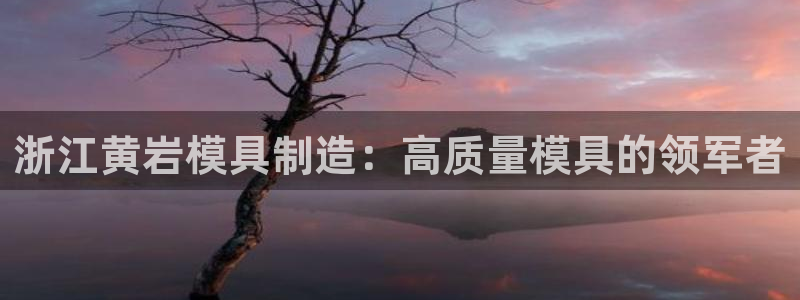 太阳成集团下载：浙江黄岩模具制造：高质量模具的领军者