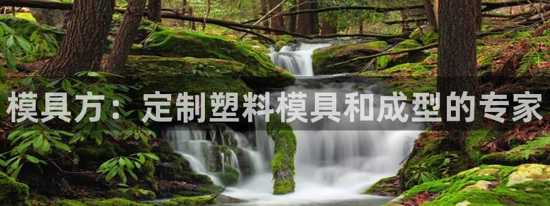 太阳集团app十佳平台是什么：模具方：定制塑料模具和成型的专家