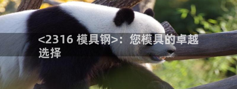 古天乐只有太阳能黑：<2316 模具钢>：您模具的卓越
选择