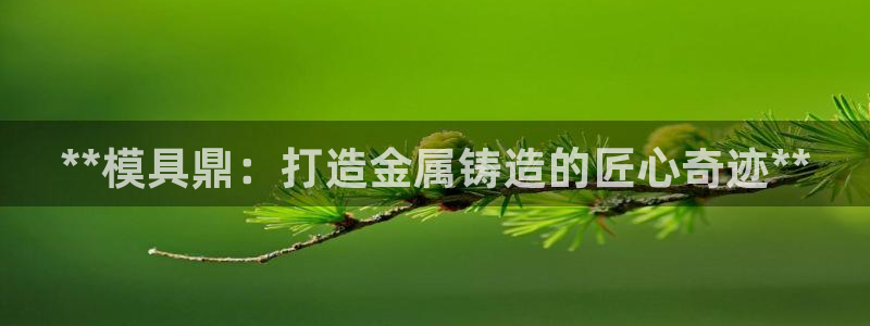 2018太阳集团游戏网站：**模具鼎：打造金属铸造的匠心奇迹**