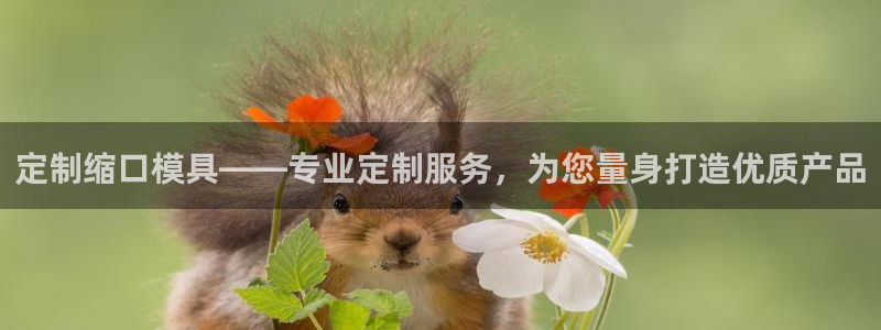 太阳集团古天乐代言：定制缩口模具——专业定制服务，为您量身打造优质产品