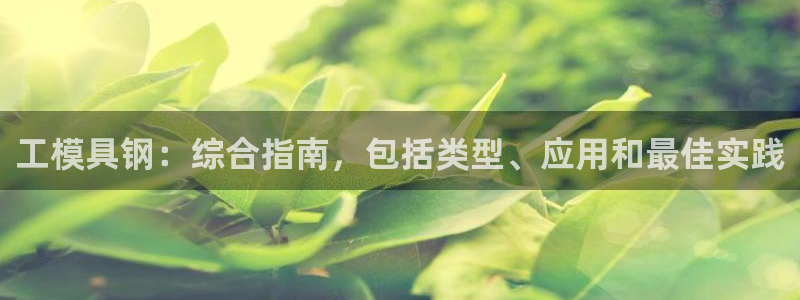 太阳集团游戏城新版138：工模具钢：综合指南，包括类型、应用和最佳实践