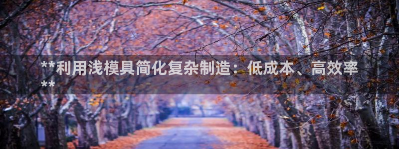 太阳成集团网址：**利用浅模具简化复杂制造：低成本、高效率
**