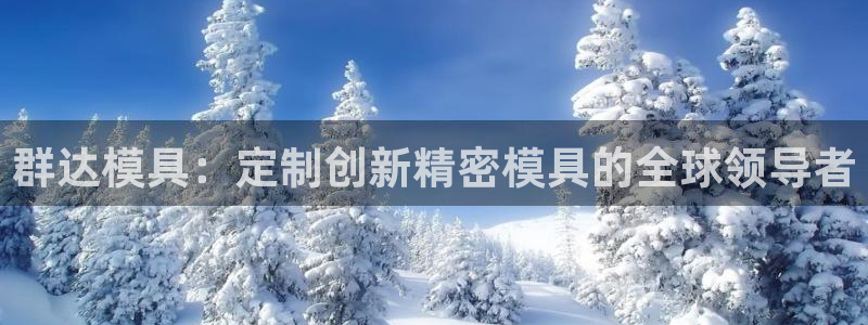 太阳gg娱选_2o5o26：群达模具：定制创新精密模具的全球领导者