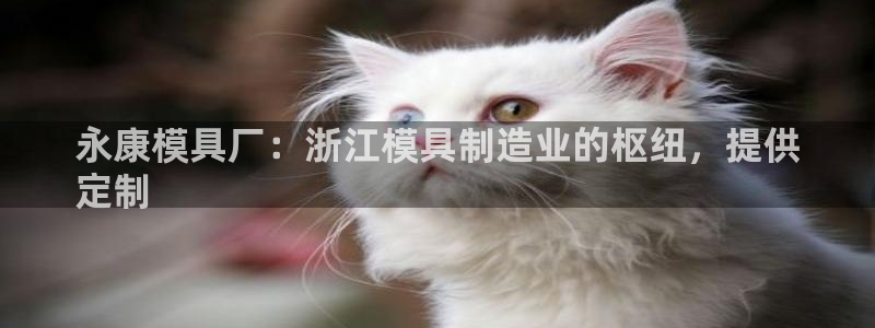 太阳诚集团有限公司是国企吗还是私企：永康模具厂：浙江模具制造业的枢纽，提供
定制