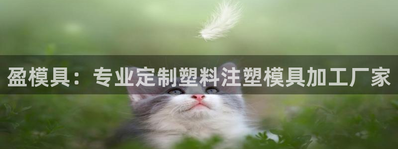 1593太阳集团城所有网址：盈模具：专业定制塑料注塑模具加工厂家