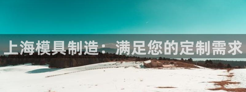 太阳控股集团：上海模具制造：满足您的定制需求