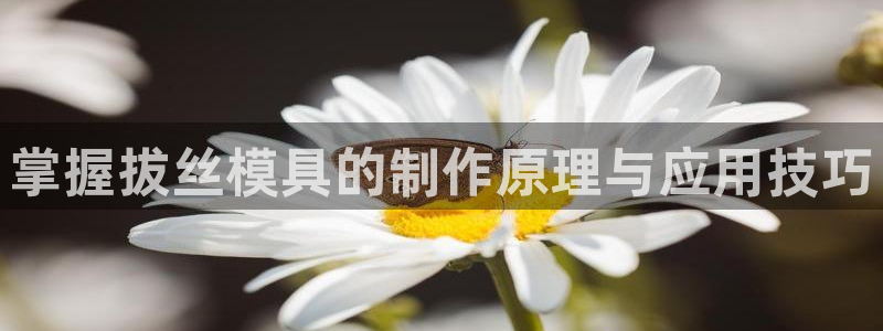 太阳集团城官方app下载苹果：掌握拔丝模具的制作原理与应用技巧