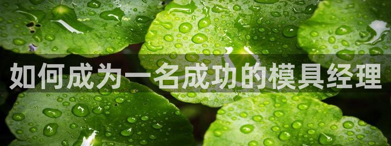 太阳集团董事长的儿子：如何成为一名成功的模具经理