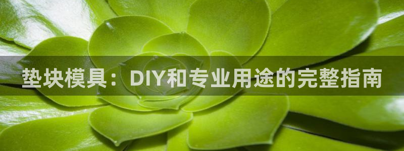 太阳集团网站入口官网首页：垫块模具：DIY和专业用途的完整指南