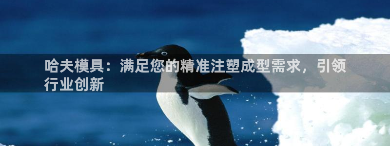 太阳集团sungroup：哈夫模具：满足您的精准注塑成型需求，引领
行业创新