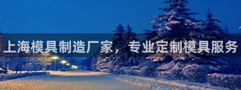 2138cn太阳集团古天乐·首页(欢迎您)：上海模具制造厂家，专业定制模具服务