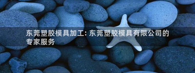 太阳app安卓版：东莞塑胶模具加工: 东莞塑胶模具有限公司的
专家服务